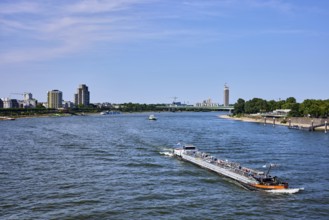 Rhine river, total view, general architecture, skyscrapers, car bridge, zoo bridge, trees, tanker