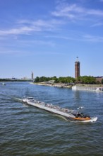 Rhine river, total view, general architecture, car bridge, zoo bridge, exhibition tower, trees,