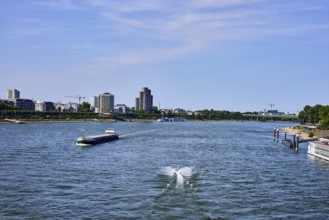 Rhine river, total view, European ship Pankgraf, jet ski, car bridge, zoo bridge, general