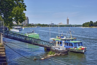 Rhine river, Strolch ferry, Weisbarth Fahrgastschiff GmbH, gangway, quay, quay wall, general