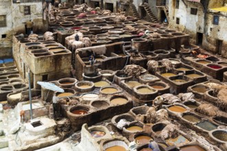 Chouwara tanning and dyeing district, Fez El Bali, Medina, UNESCO World Heritage Site, Fez, Morocco
