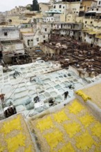 Chouwara tanning and dyeing district, Fez El Bali, Medina, UNESCO World Heritage Site, Fez, Morocco
