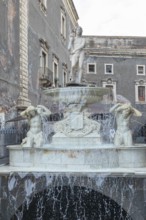 Amenano fountain, Piazza Duomo, Catania, Sicily, Italy