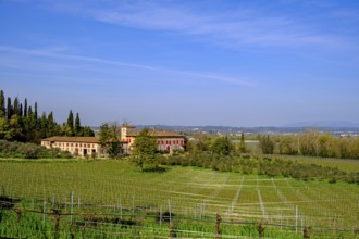 View from San Martino della Battaglia, Colli Mantovani Lombardy, Province of Brescia, Italy