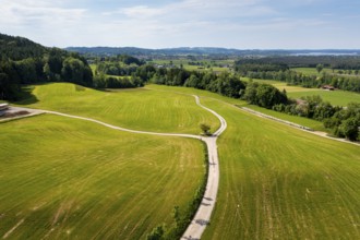 Feldweg nach Rudersburg, Salzalpensteig, Rottau bei Grassau, Chiemgau, Upper Bavaria, Bavaria,