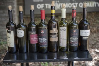 Tbilisi, Georgia. July 11th 2025. A display of empty bottles of Georgian wine, Georgia is one of