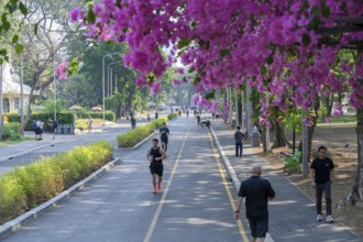 Bangkok, Thailand. March 4th 2025. Lumphini Park in Bangkok, a popular green space for jogging or