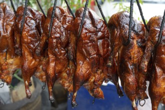 Roasted Peking Duck hanging in a street food market in Chinatown, Bangkok, Thailand