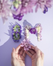 Hands arranging flowers forming the text 8m on a lilac background, celebrating women's day