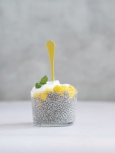 Chia seed pudding with mango and yogurt topped with mint, ready for eating