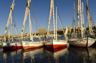 Aswan, Egypt. January 12th 2013 Beautiful painted Egyptian Felucca sail boats moored at Elephantine