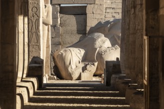 Luxor, Egypt. December 13th 2022 Part of a statue of the fallen Ozymandias Colossus, at the