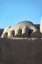 Luxor, Egypt. December 13th 2022 Part of a statue of the fallen Ozymandias Colossus, at the