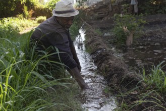 Aswan, Egypt. 9th December 2020 A Nubian farmer clears an irrigation ditch on his farm on the Nile