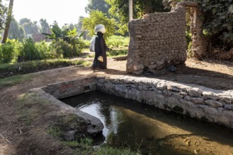 Aswan, Egypt. 9th December 2020 A Nubian woman carrying shopping walks past an irrigation channel