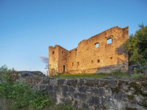 The ruins of Bramberg Castle in the Hassberg Mountains in the evening light, near Königsberg in