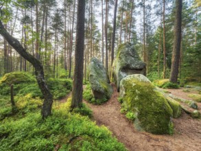Geotope of God's hands, rock formation in pine forest, Lerautal near Leuchtenberg, Upper