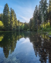 The Werrateich near the Rennsteig, Masserberg, Thuringian Forest nature park Park, Thuringia,