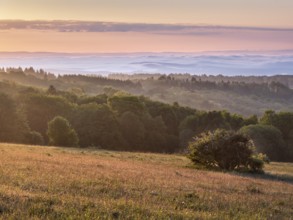 View of Rhön countryside with morning fog at sunrise, species-rich mountain meadow and forest, Rhön