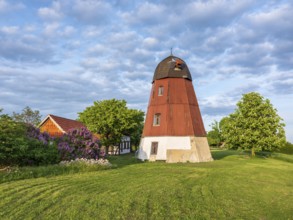 Former windmill in idyllic setting in evening light in spring, Hedeper, Lower Saxony, Germany