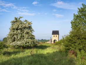 The early medieval Königspfalz Werla from the 10th century, reconstructed west tower of the castle