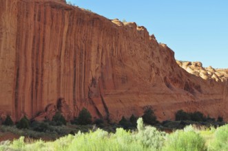 High red rock wall with vegetation at the bottom, Grand Staircase Escalante National Monument,