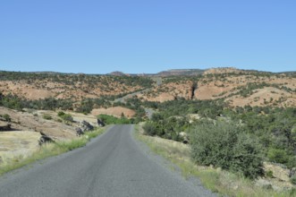 A road leads through a dry landscape with rocks and scattered greenery under a blue sky, Grand