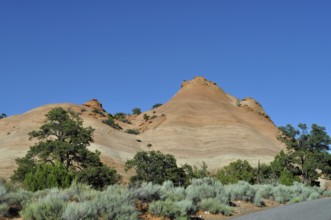 Layered rock hills in a desert landscape with trees, Grand Staircase Escalante National Monument,