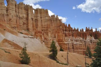 Hiking trail leads past bizarre red rock needles and pine trees in Bryce Canyon National Park,
