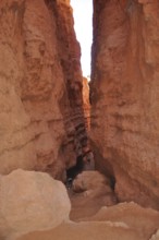 Narrow gorge in Bryce Canyon with high red rock walls on both sides, Bryce Canyon National Park,
