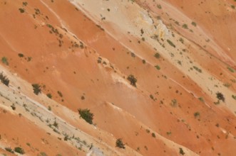 Close view of orange rocks with minimal vegetation, Bryce Canyon National Park, Utah, USA