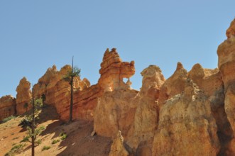 Remarkable rock formations against clear blue sky in natural surroundings, Bryce Canyon National