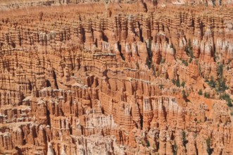 Close-up of impressive rock formations in bright orange, Bryce Canyon National Park, Utah, USA