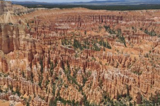 A spectacular view of a vast red rock landscape with numerous gorges and canyons, Bryce Canyon