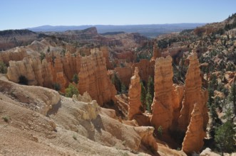 Red rock formations with trees in a canyon landscape with blue sky, Bryce Canyon National Park,