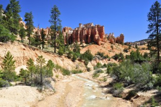 A small river flows through a landscape of distinctive rock formations and forest, Bryce Canyon