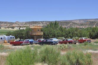 Several classic American cars park side by side in a meadow with a hilly landscape in the
