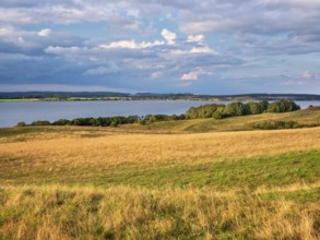 Hilly landscape in the Zicker Mountains in the evening light, including Zicker Alps, view over the