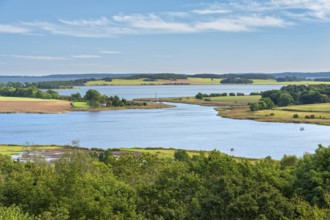 View of the lagoon landscape, Großer Jasmund Bodden, Rügen Island, Mecklenburg-Western Pomerania,