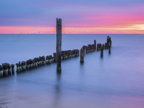 Sunrise on the Baltic Sea beach with old grouse at the Baltic Sea resort of Breege-Juliusruh,