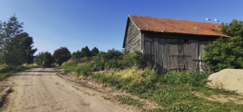 Rural scene with storks (ciconia) on a barn and a dusty dirt track, Masuria, Poland