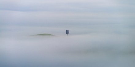 Landscape at sunrise around Volterra, Pisa province, Tuscany, Italy
