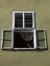 Open window, small cat sitting in the window frame, wooden window, old town of Sighi?oara,