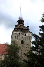Romania, church tower of the fortified church of Saschiz, German Keisd, municipality in Mures