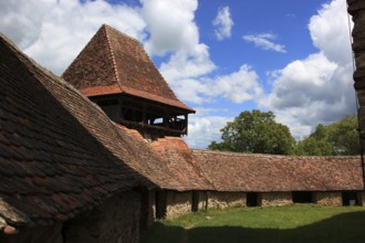 Romania, in the courtyard of the fortified church of Viscri, German German Weisskirch a town in the