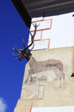 Romania, house with deer antlers, Casa cu Cerb in the historic old town of Sighisoara, German
