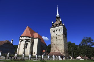 Romania, the church tower and church of Saschiz, German Keisd, a community in Mures County,