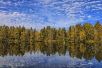 Tranquil moor lake with fishing boat and autumn trees reflecting in the water, under a blue,