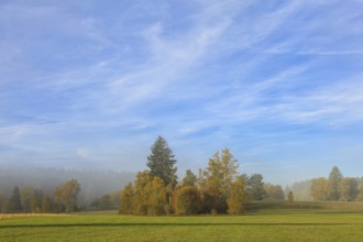 Autumn landscape with hazy sky and meadows in the foreground, surrounded by trees, Upper Danube