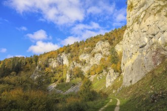 Colourful autumn landscape with rocks and forest under blue sky, a trail runs at the foot of the
